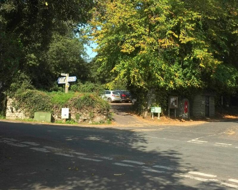 Manaton resident leads litter-picking campaign to clean up the streets