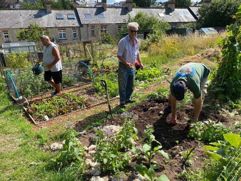 Moretonhampstead Community Allotment