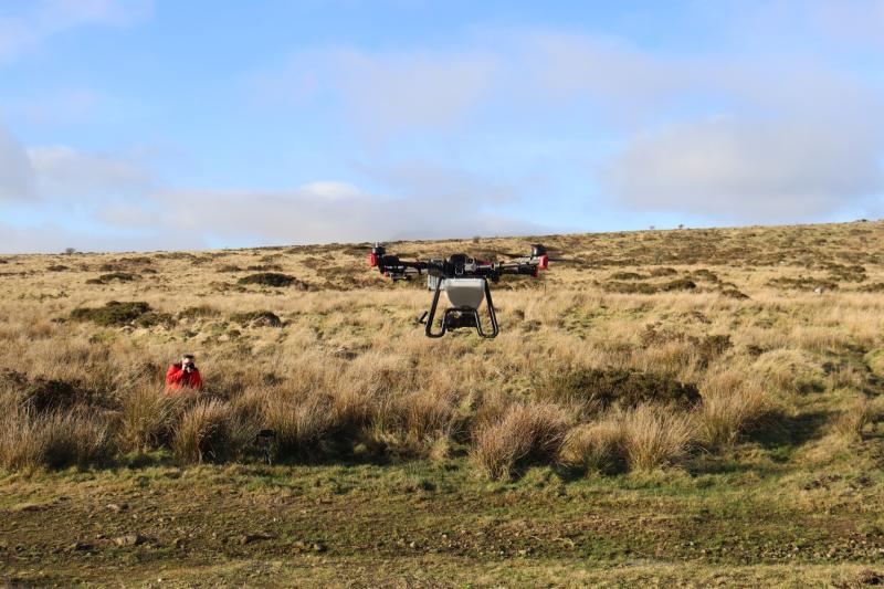 Drone seeding trial aims to revolutionise rainforest restoration