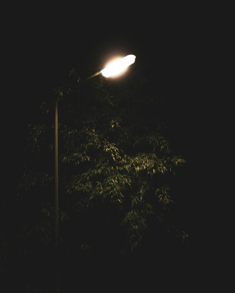 Devon County Council launches year-long streetlight dimming trial to cut carbon and costs