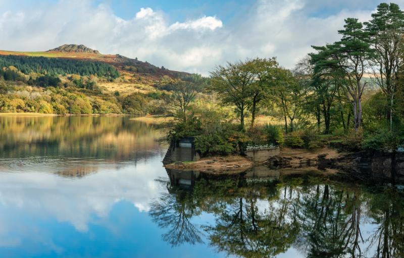 Devon and Cornwall&rsquo;s largest environmental charity marks milestone year