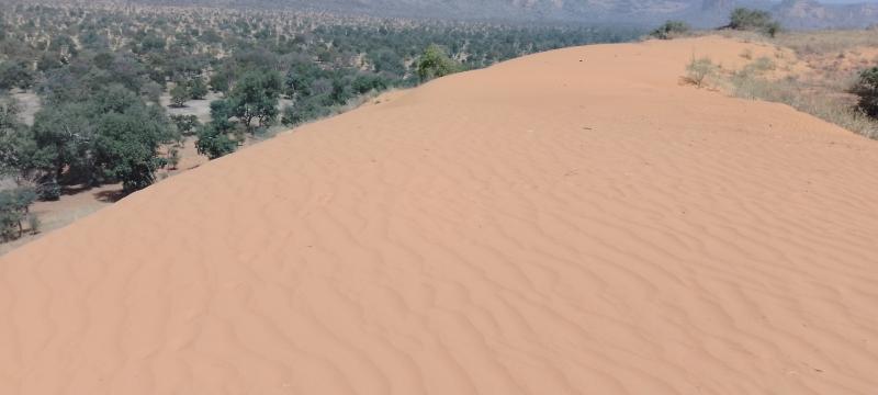 Joliba Trust helps make a big difference in Africa