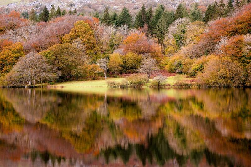 South West Lakes launches 2025 ‘Love Your Lakes’ photo competition to celebrate 25 years of memories