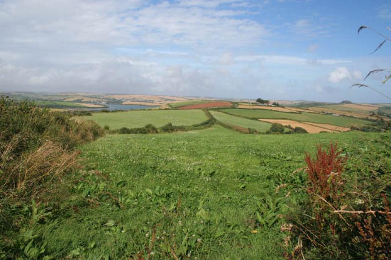 Devon farmland