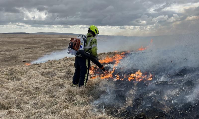 Wildfire warning for Dartmoor as weekend risk hits ‘very high’