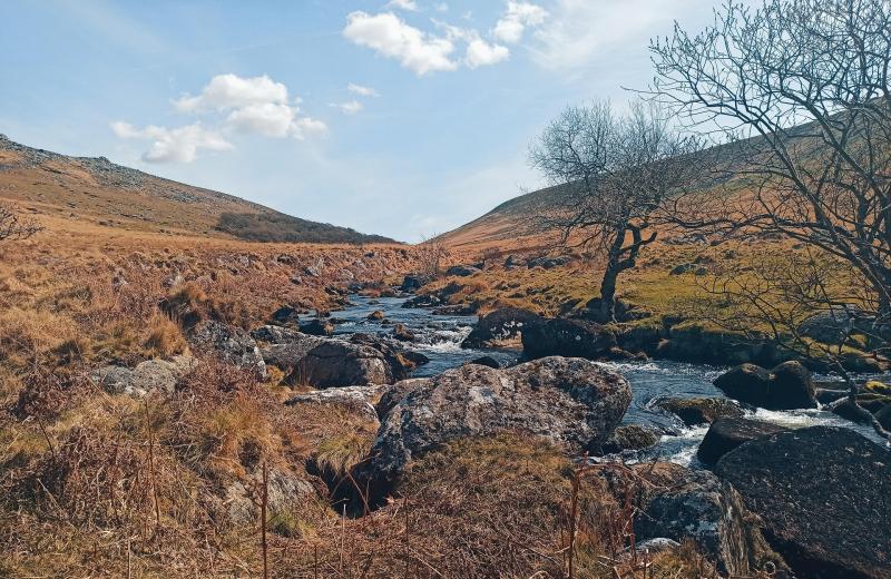 Dartmoor landscape
