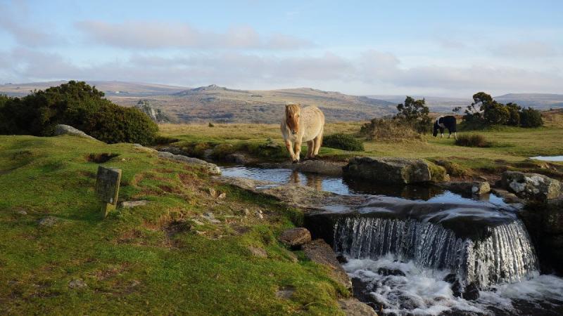 Dartmoor’s future under review as new partnership board announced