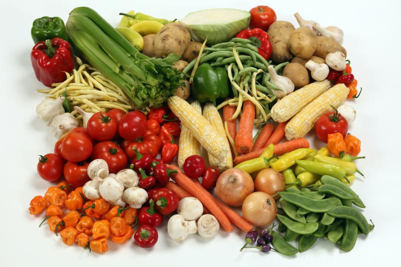 New community food hubs programme launched to tackle food insecurity in Devon