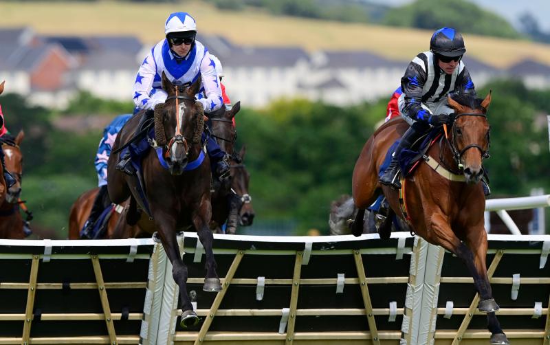 Newton Abbot Races. Pic from PPAUK