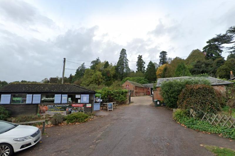Bears escape from Devon wildlife park prompting police response