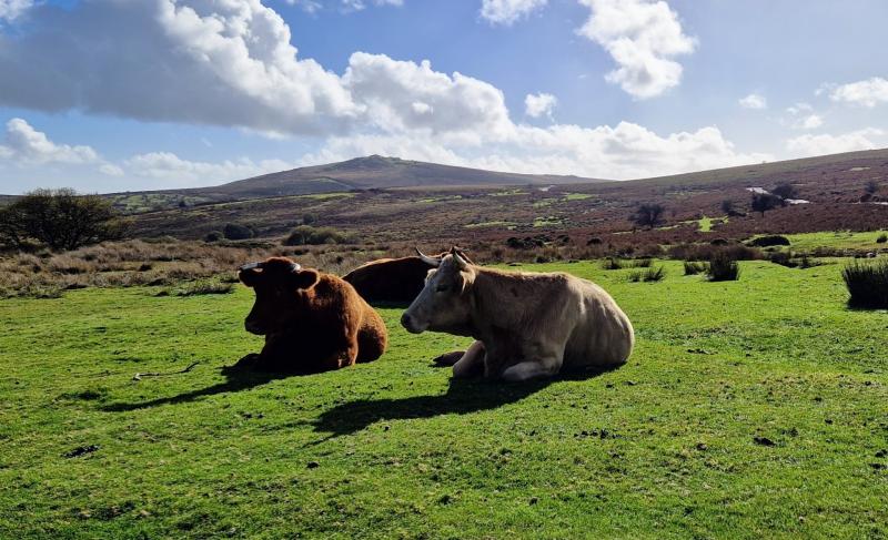 'Second win' for Dartmoor as major public donations fund access projects