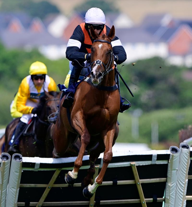 Racing at Newton Abbot. Pic from PPAUK