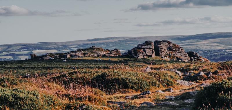 ‘Bigger and better than ever before’ – major Dartmoor festival kicks off this summer
