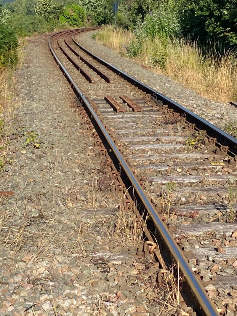 Major push for Tavistock and Plympton rail link as campaigners say it ‘should be seen as a priority’