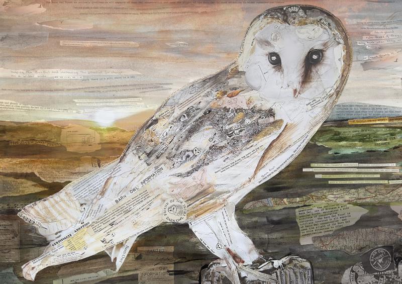 The barn owl collage created by Glen Middleham