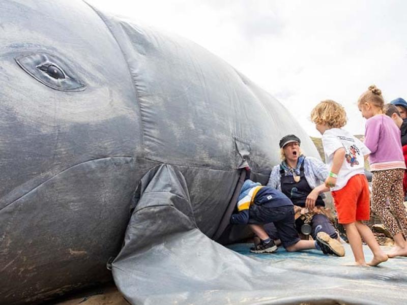 Seafest set to make a splash in Plymouth this September