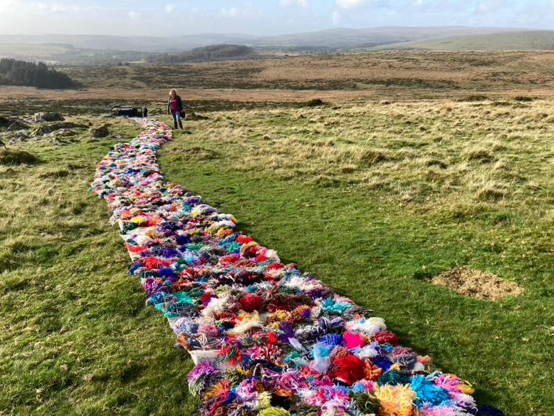 The Mossy Carpet on Dartmoor Credit: Naomi Wright