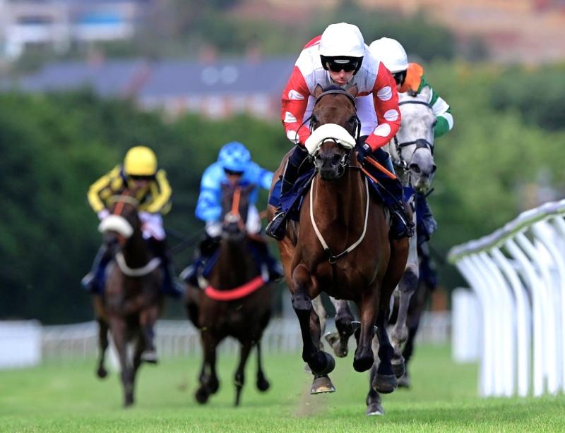 Newton Abbot Racecourse: preview and tips for Saturday’s six-race Summer jumps card
