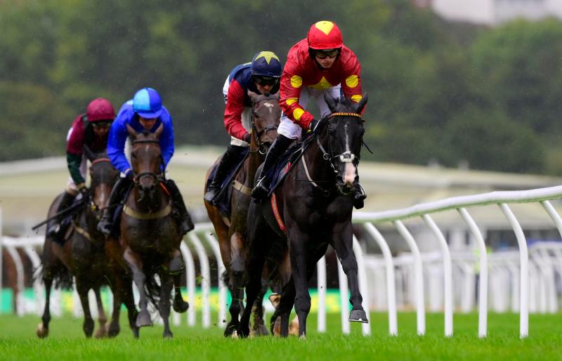 xel Bleue ridden by James Bowen. Pic from PPAUK