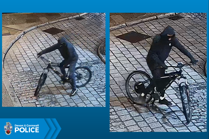 The men captured on CCTV