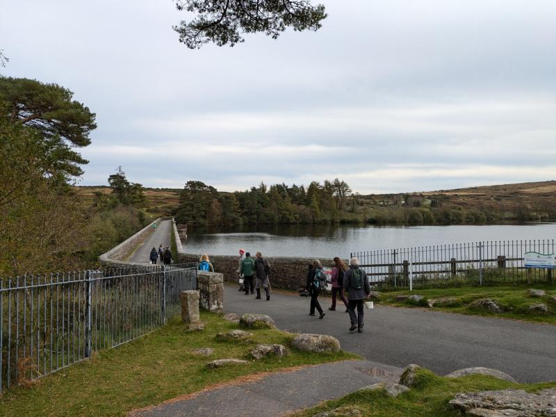 Venford reservoir seed collecting Oct '24 Credit- Moor Trees