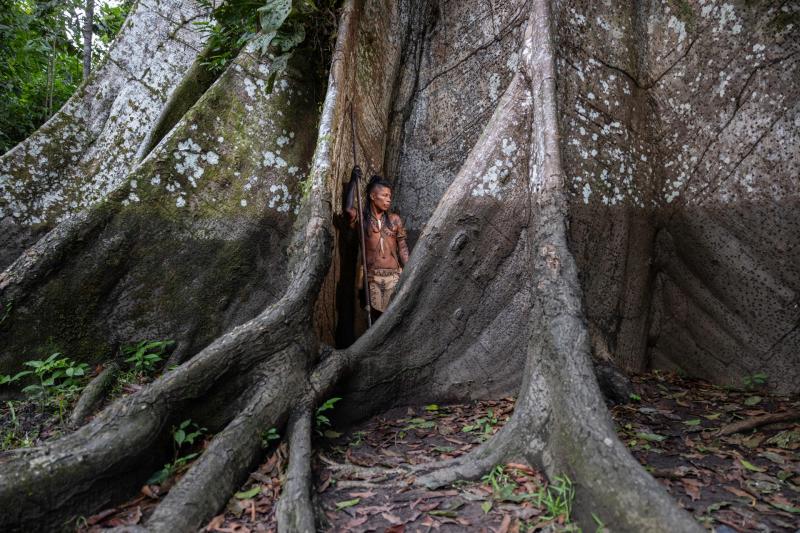 Through the Lens: Global climate stories come to Haldon Forest Park