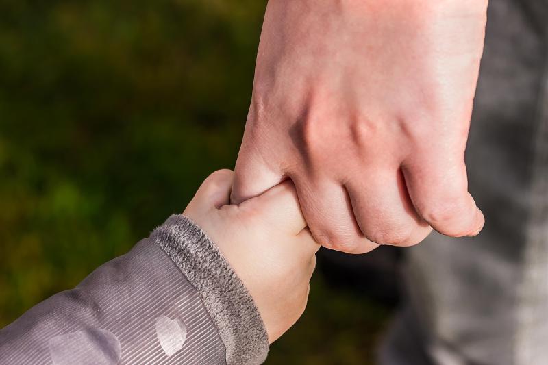 The key requirement is being able to provide a stable, caring environment Credit- Pixabay