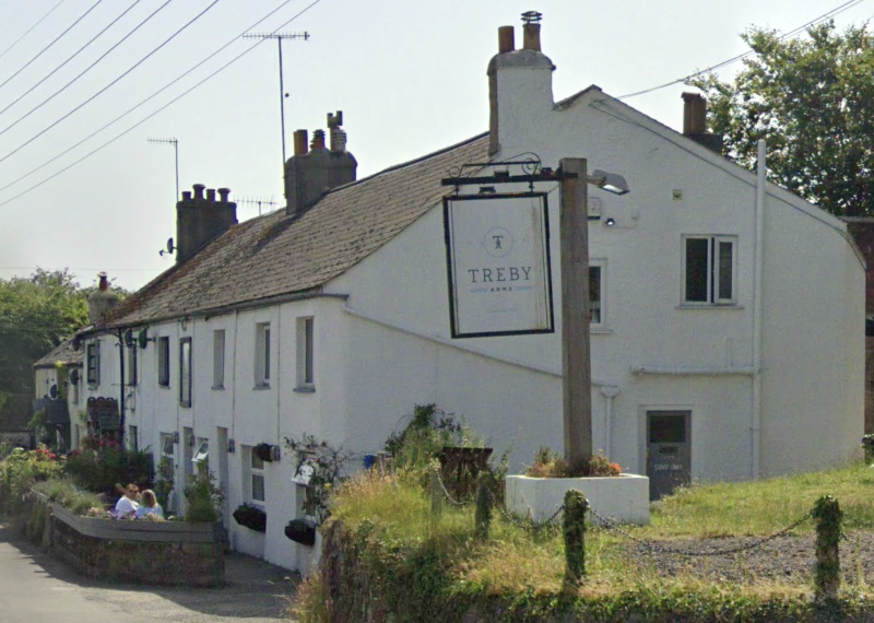 The Treby Arms, Sparkwell Credit- Google Maps