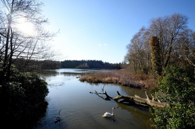 Stover Country Park