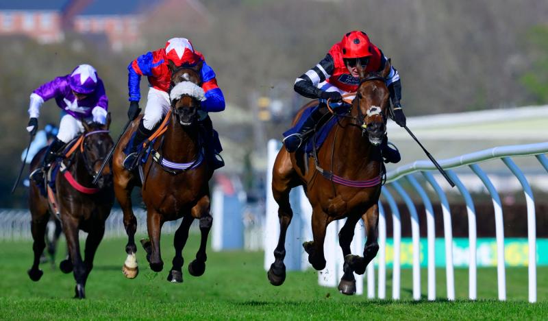 The thrill of racing at Newton Abbot. Pic from PPAUK