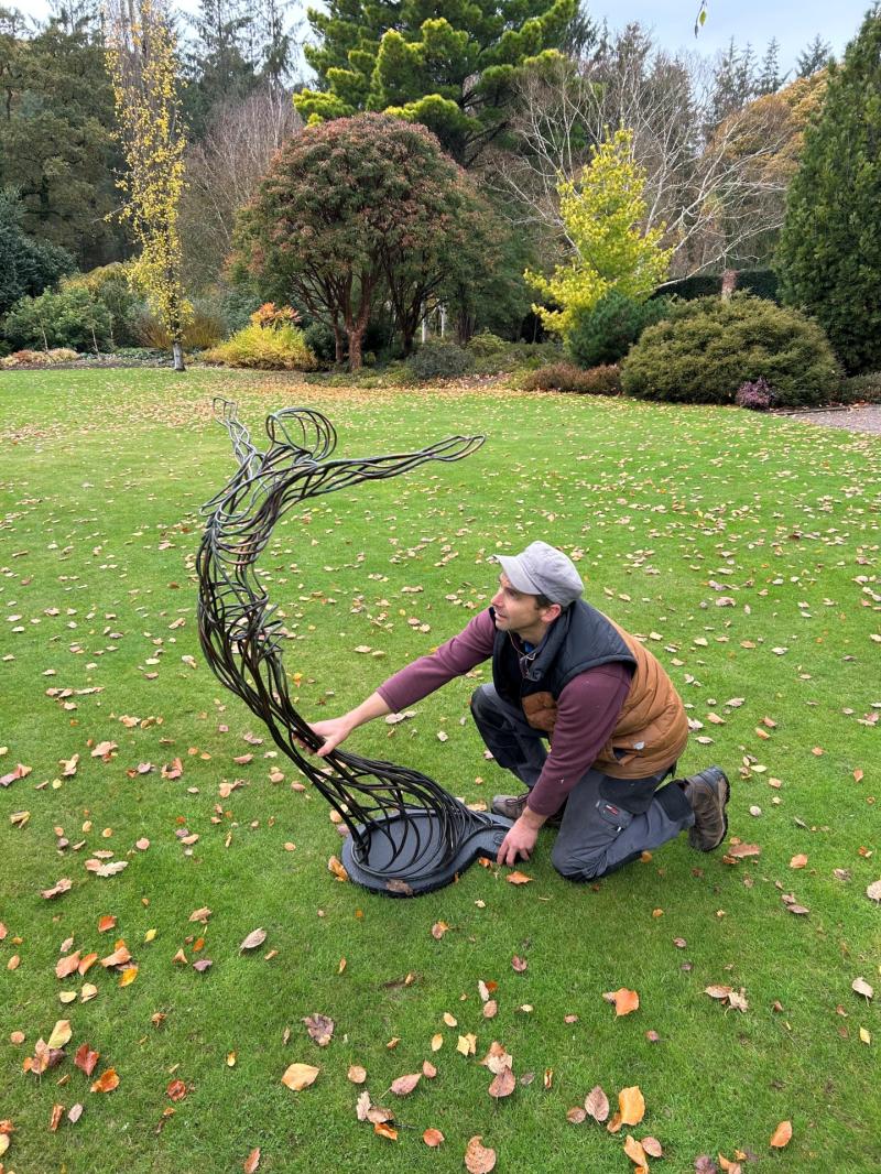 RHS Garden Rosemoor transforms into an open-air art gallery for Winter Sculpture Exhibition