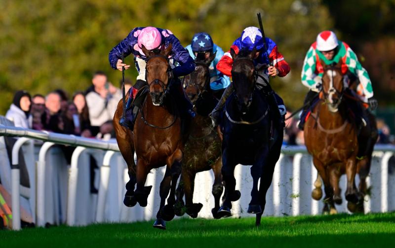 Racing at Newton Abbot. Pic from PPAUK