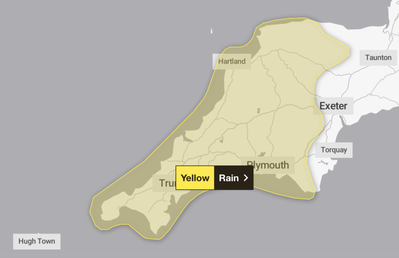 The warning is in place from 12pm on Tuesday (11 Nov) and will see strong wind and rain hit Devon Credit- Met Office