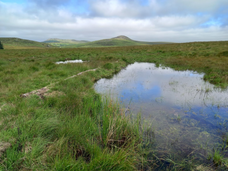 South West Water opens £2m Nature Recovery Fund to boost community-led environmental projects