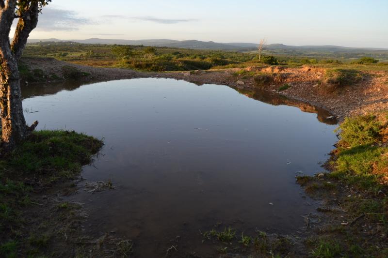 The document outlines "positive actions" required across Dartmoor Credit- Jamie Townsend