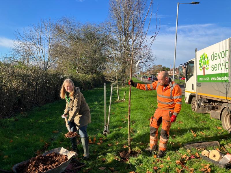 Exeter prepares for National Tree Week with new green initiatives