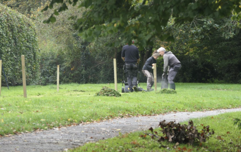 Creation of mini meadow in Ivybridge Credit- South Hams District Council