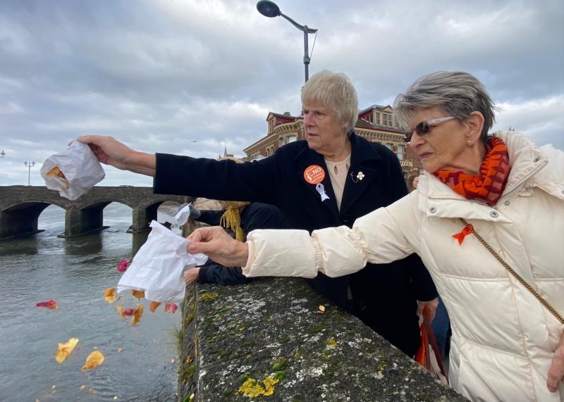 Barnstaple Petal scattering 2023 8