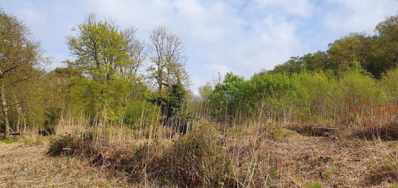Wolborough Fen (Image courtesy: Guy Henderson)
