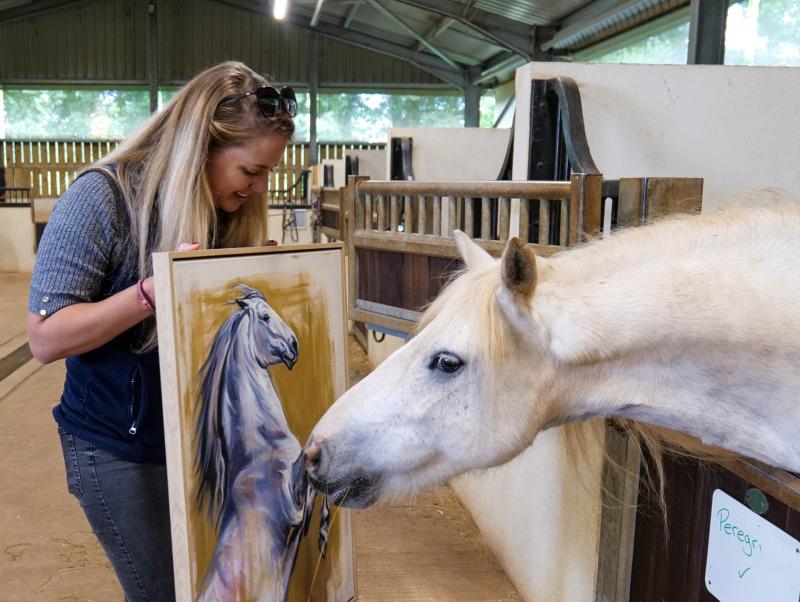 Devon artist launches auction in Exeter to help save vulnerable horses