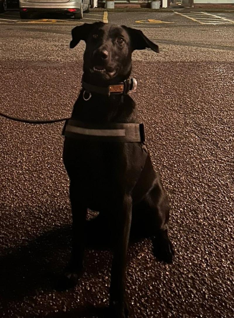 West Devon police outline 2026 priorities after sharp fall in anti-social behaviour