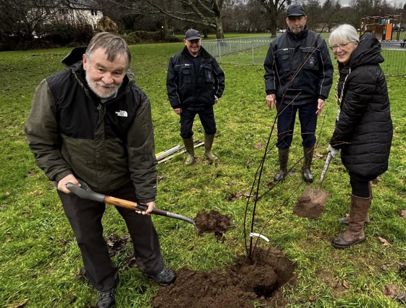 Richard Taylor, Peter Stanyon, Sheila&nbsp;Brooke, Roger Rance at the planting earlier today Image- Bovey Tracey Town Council