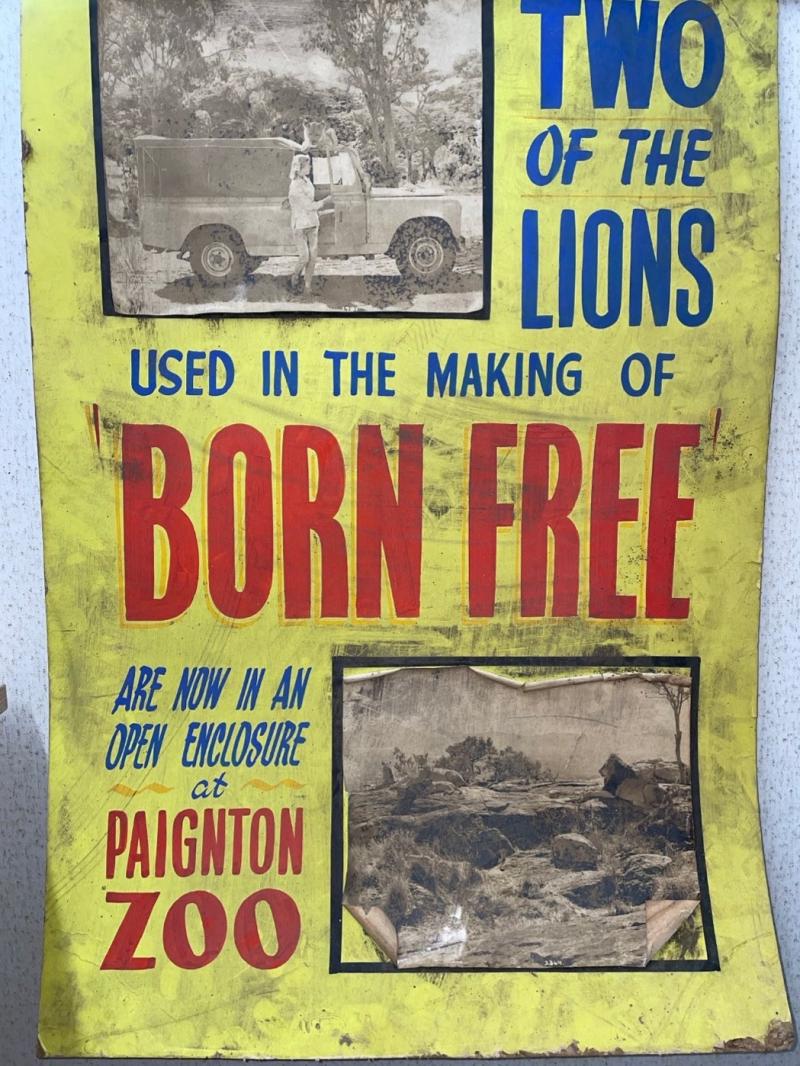 Torbay Picture House restoration unearths rare link to 1960s film classic