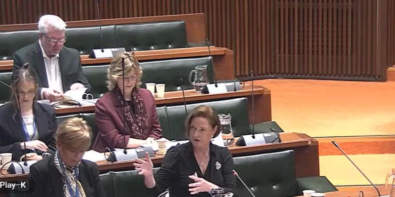 Alison Hernandez, Police and crime commissioner, addresses the police and crime panel in Plymouth. Picture by Alison Stephenson