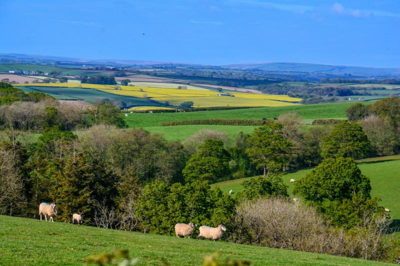 Devon residents invited to shape future of local government in county-wide consultation