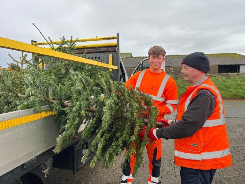 Hundreds of Christmas trees turned into &pound;28,625 for Devon children&rsquo;s hospice