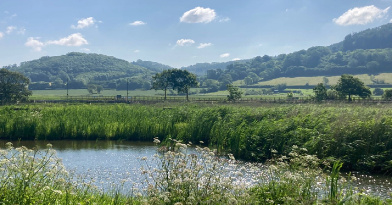 East Devon council ramps up conservation efforts as spring season begins