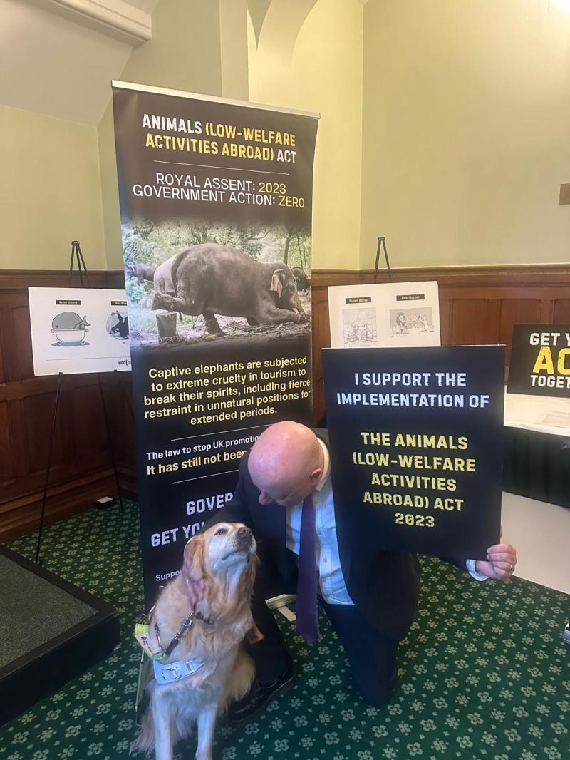 Torbay MP urges action on overseas animal cruelty ban