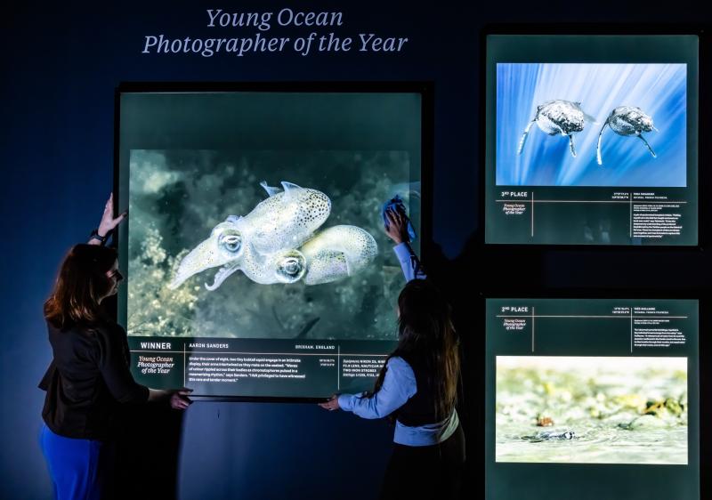 Brixham photographer to showcase award-winning ocean shot at major UK exhibition