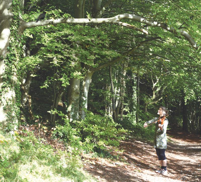 Bird Tunes cover no text